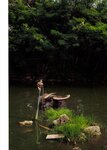 [Photobook] 秋元真夏 淡淡