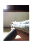 [Photobook] 秋元真夏 淡淡
