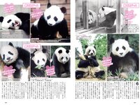[Weekly Playboy] 2021 No.29 えなこ 広山楓 坂東遥 今野杏南 櫻井木穂 佐藤祐羅 和地つかさ