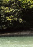 [Photobook] 佐々木萌香ファースト写真集 いちばん。