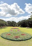 [Photobook] 佐々木萌香ファースト写真集 いちばん。