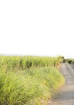[Photobook] 佐々木萌香ファースト写真集 いちばん。