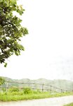 [Photobook] 乃木坂46 ファースト写真集 乃木坂派