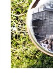 [Photobook] 乃木坂46 ファースト写真集 乃木坂派