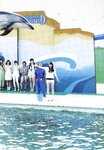 [Photobook] 乃木坂46 ファースト写真集 乃木坂派