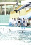 [Photobook] 乃木坂46 ファースト写真集 乃木坂派
