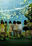 [Photobook] 乃木坂46 ファースト写真集 乃木坂派
