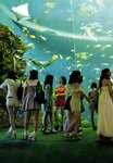 [Photobook] 乃木坂46 ファースト写真集 乃木坂派