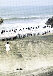 [Photobook] 乃木坂46 ファースト写真集 乃木坂派