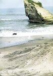 [Photobook] 乃木坂46 ファースト写真集 乃木坂派
