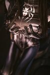 [Cosplay] 末夜787 蜘蛛侠妹妹 [33P-515MB]
