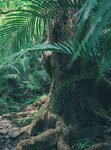 [Photobook] 秋元真夏フォトブック『淡淡(あわあわ)』 (幻冬舎単行本)