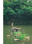 [Photobook] 秋元真夏フォトブック『淡淡(あわあわ)』 (幻冬舎単行本)
