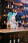 [Cosplay] 洛桑w伊梓 明日奈兔女郎 [63P-282MB]
