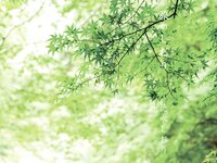 [Photobook] Shiori Tokunaga 徳永しおり - Travel Guide 旅のしおり