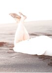 [Photobook] 前田佳織里1st写真集 おとなのかおり (声優パラダイス)