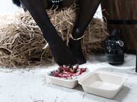 [Cosplay] 清水凪 猫说你可以吃蛋糕 [103P-2.19GB]