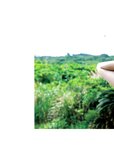 [Photobook]【電子版56ページ増】染谷有香写真集 This is the beginning