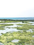 [Photobook]【電子版56ページ増】染谷有香写真集 This is the beginning