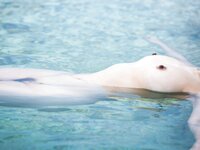 [Photobook]【電子版56ページ増】染谷有香写真集 This is the beginning
