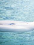 [Photobook]【電子版56ページ増】染谷有香写真集 This is the beginning