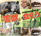 週刊AG 2025.11.26 No.001 莉々はるか 美乃すずめ 八蜜凛 佐々木萌香 宮越虹海 伊藤舞雪