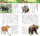 週刊AG 2025.11.26 No.001 莉々はるか 美乃すずめ 八蜜凛 佐々木萌香 宮越虹海 伊藤舞雪