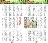 週刊AG 2025.11.26 No.001 莉々はるか 美乃すずめ 八蜜凛 佐々木萌香 宮越虹海 伊藤舞雪