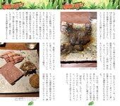 週刊AG 2025.11.26 No.001 莉々はるか 美乃すずめ 八蜜凛 佐々木萌香 宮越虹海 伊藤舞雪
