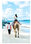 [Photobook]【電子版だけの特典カット付き】福井梨莉華 1st写真集 あいの道しるべ
