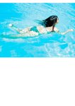 [Photobook]【電子版だけの特典カット付き】福井梨莉華 1st写真集 あいの道しるべ