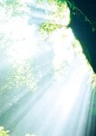 [Photobook]【電子版だけの特典カット付き】福井梨莉華 1st写真集 あいの道しるべ