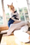 [Cosplay] 纸悦Etsu_ko 玛丽体操服 [64P-357MB]