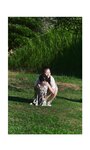 [Photobook]【デジタル限定】高野麻里佳 写真集 embrace 「My Girl」