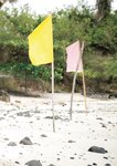[Photobook] 桃園怜奈写真集 RemotioNal