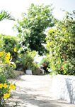 [Photobook] 桃園怜奈写真集 RemotioNal