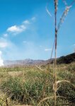 [Photobook] 葵つかさ写真集 葵つかさ 完全版