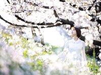 [Photobook] 葵つかさ写真集 葵つかさ 完全版
