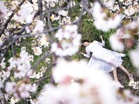 [Photobook] 葵つかさ写真集 葵つかさ 完全版