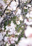 [Photobook] 葵つかさ写真集 葵つかさ 完全版