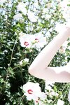 週刊現代デジタル写真集 菜那セシル 海辺の宝石