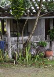 [Photobook] 2023.04.05 風吹ケイ 幕開-序- スピサン グラビアフォトブック