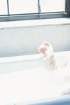 FRIDAYデジタル写真集 石川澪 candy pink vol.2