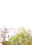 [Photobook] 福田ルミカ 2nd写真集 Soar