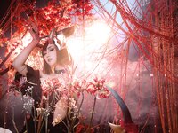 [Cosplay] 瓦斯塔亚小龙虾 猩红之月伊芙琳 [12P-265MB]
