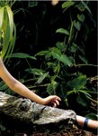 [Photobook] 吹石一恵 FUKIISHI