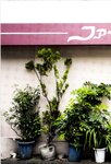 [Photobook] 川後陽菜 インタビューフォトブック