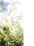 [Photobook]櫻坂46 松田里奈1st写真集『まつりの時間』