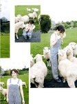 [Photobook]櫻坂46 松田里奈1st写真集『まつりの時間』