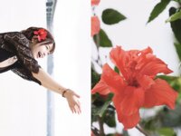 [Photobook] ようこそ癒やしの楽園へ 南国エロティックスパHEAVENスペシャル 唯井まひろ